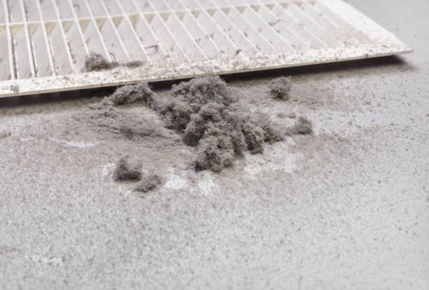 Best Affordable HVAC Duct Cleaning  in St Jaco, IL