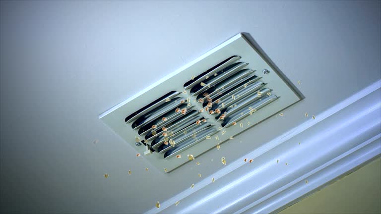 Best Air Duct Cleaning Near Me  in St Jaco, IL