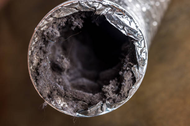 Best HVAC System Cleaning  in St Jaco, IL
